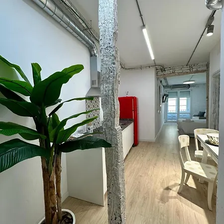 Carolina By Gaiarooms León